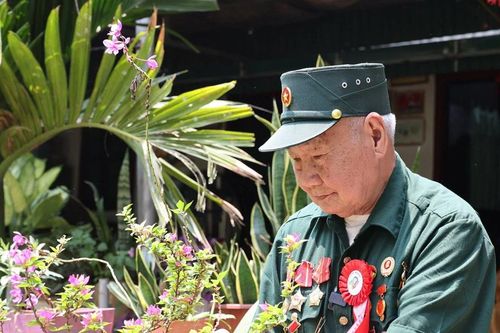 'Cây đại thụ' trong cộng đồng