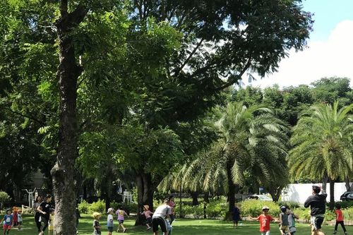Cấp thiết xã hội hóa đầu tư công viên