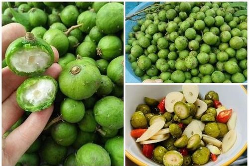 Đắt hơn thịt, chị em vẫn 'móc ví' mua sấu non đầu mùa