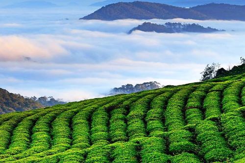 Xây dựng Đà Lạt thành trung tâm du lịch chất lượng cao ở Đông Nam Á