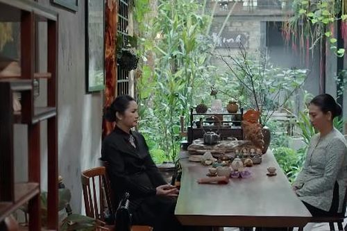 'Trạm cứu hộ trái tim' tập 27: Bà Hạ Lan hé lộ Ngân Hà có thai