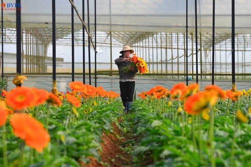 Công bố quy hoạch tỉnh Lâm Đồng thời kỳ 2021 - 2030, tầm nhìn đến năm 2050