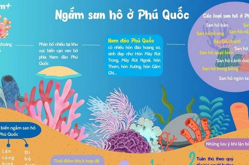 Khám phá đại dương, lặn biển ngắm san hô ở Phú Quốc