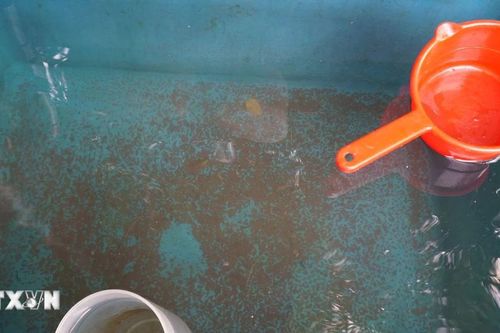 Đà Nẵng yêu cầu đảm bảo nước sinh hoạt cho người dân xã Hòa Bắc