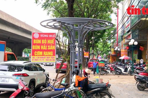 Biển quảng cáo và xe cộ bủa vây các giàn hoa trang trí đô thị