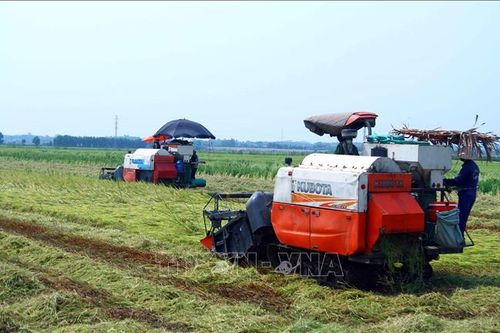 Đưa thiết bị bay vào gieo sạ, bón phân tạo bước đột phá trong sản xuất lúa