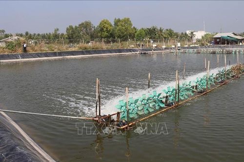 Tiền Giang: Phát huy tiềm năng nuôi trồng thủy sản