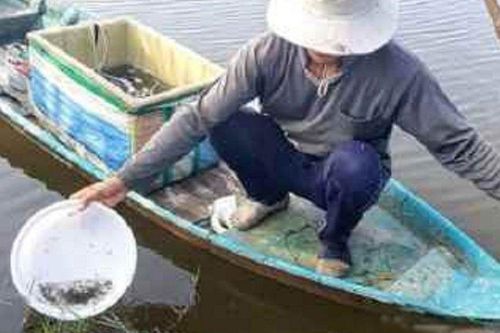 Anh nông dân bỏ túi 500 triệu đồng nhờ 'đánh liều' nuôi con đặc sản 'lạ'