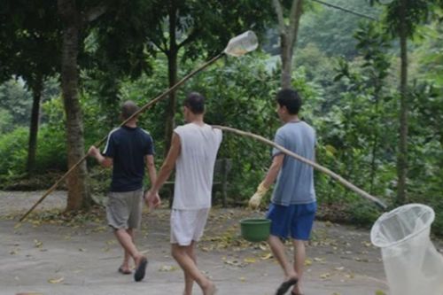 Loài đặc sản mùi kinh sợ, giá bạc triệu, 'dân nhậu' vẫn tranh nhau mua