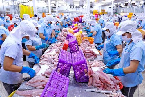 USD tăng giá, doanh nghiệp xuất khẩu cũng âu lo