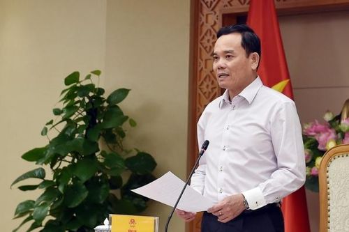 Tập trung rà soát, cấu trúc lại quy trình, cắt giảm, đơn giản hóa thủ tục hành chính