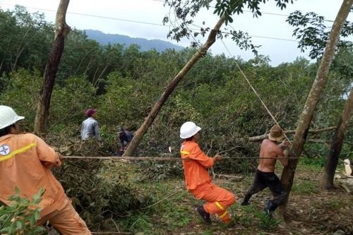 Bài 1: Căng mình đảm bảo vận hành an toàn lưới điện truyền tải