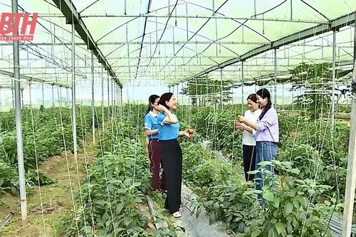 Ứng dụng công nghệ số trong sản xuất nông nghiệp