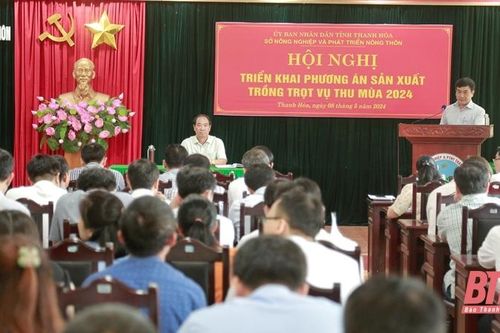Ngành Nông nghiệp phấn đấu giá trị sản xuất vụ thu mùa 2024 đạt 9.178,7 tỷ đồng