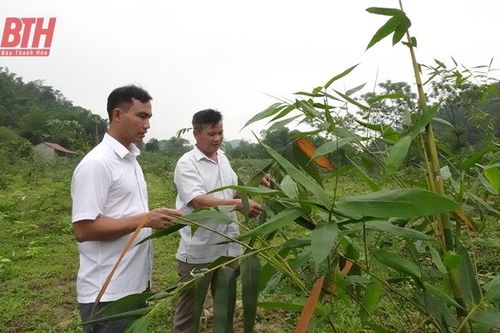 Kỳ vọng vào những cây trồng mới