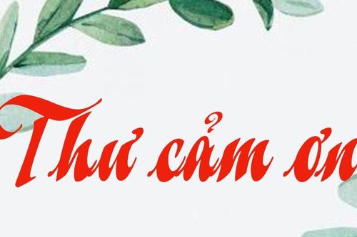 Thư cảm ơn của Hội Bảo trợ người khuyết tật và Bảo vệ quyền trẻ em tỉnh Gia Lai