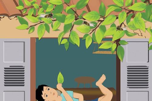 Âm thanh mùa hạ