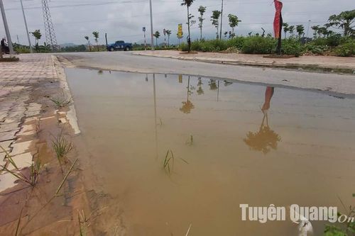 'Ao' xuất hiện giữa khu phố sau cơn mưa