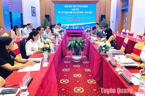 Lãnh đạo tỉnh Tuyên Quang làm việc với Tập đoàn KGM TATA DAEWOO, Hàn Quốc