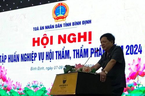 Tòa án tỉnh Bình Định tập huấn tập huấn 8 chuyên đề cho Hội thẩm, Thẩm phán