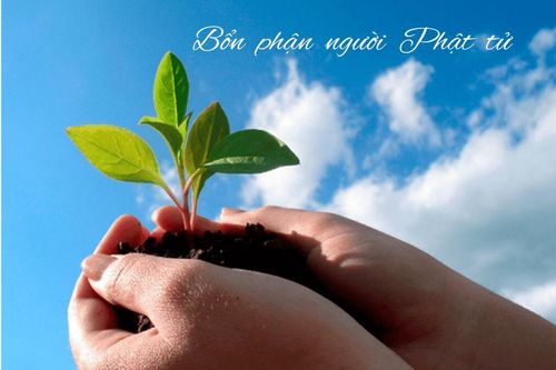 Bổn phận của người phật tử
