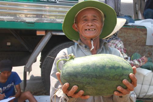 Nông dân 'thủ phủ' dưa hấu ở Quảng Nam thắng lớn nhờ được mùa, được giá
