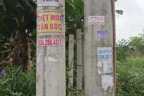 Đông Anh: Quảng cáo rác tràn lan trên cột điện