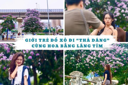 Giới trẻ đổ xô đi 'thả dáng' cùng hoa bằng lăng trên phố Hoàng Cầu