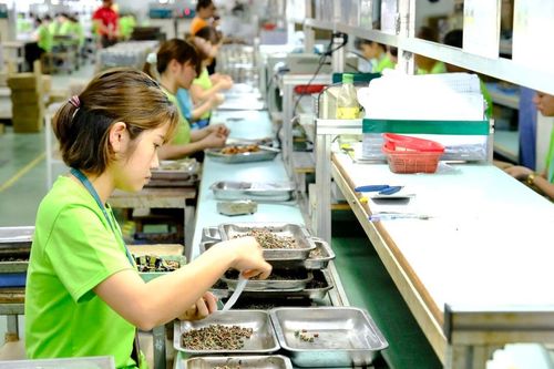 Kiến nghị giảm giờ làm xuống dưới 48 giờ/tuần và tăng lương cho người lao động