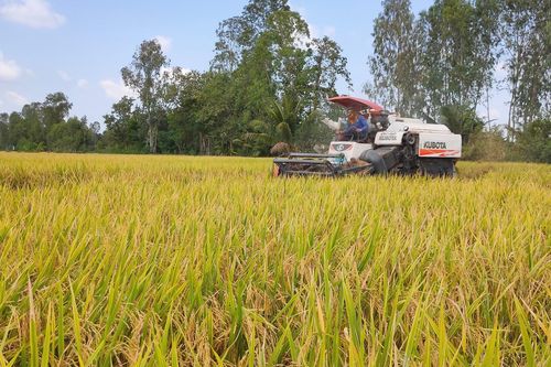 Thu hút nông dân tham gia hợp tác xã