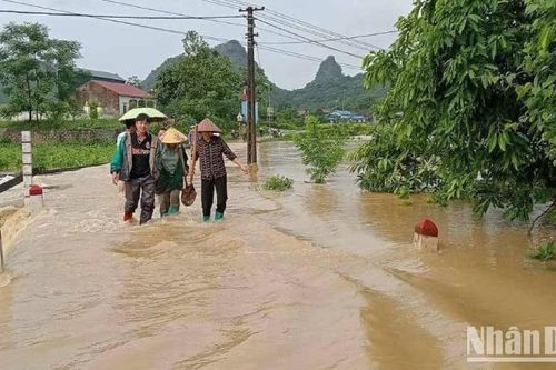 Mưa lớn gây thiệt hại về hoa màu ở Lạng Sơn