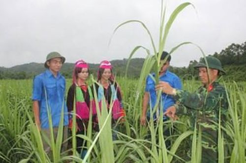 'Cột mốc sống' ở Lâm trường 42