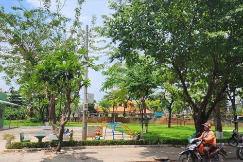 TPHCM tổ chức Lễ phát động 'Tết trồng cây đời đời nhớ ơn Bác Hồ' năm 2024