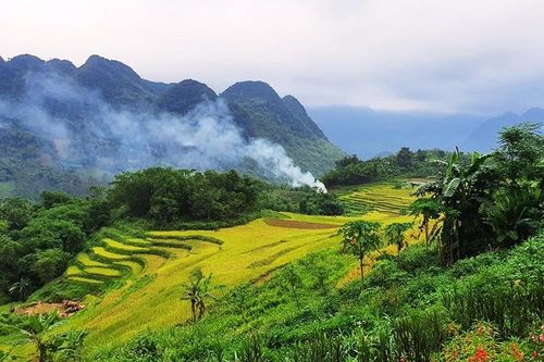 Khai phá tiềm năng bản địa giúp người dân thoát nghèo