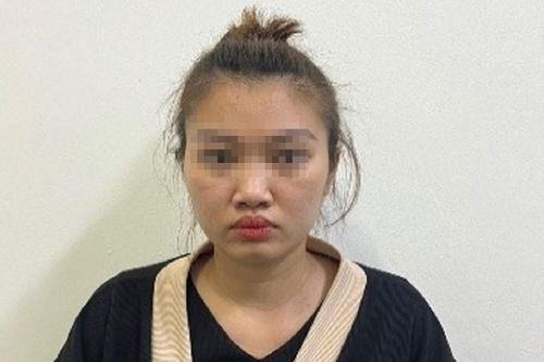 Bắt giữ nữ đối tượng môi giới mại dâm tại quận Tây Hồ