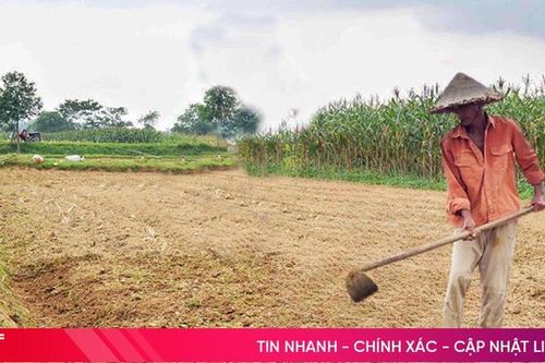 Người dân xã miền núi ở Hà Tĩnh quanh năm canh cánh nỗi lo... sét đánh!