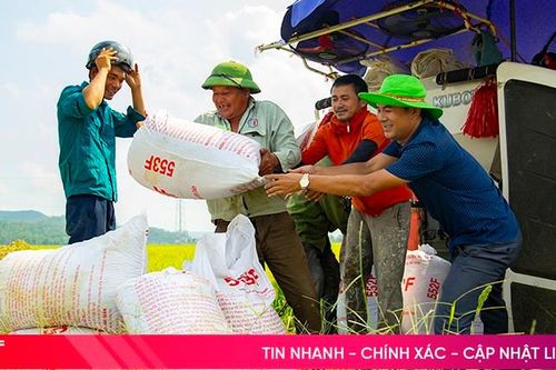 Nông dân Hà Tĩnh rộn ràng vào vụ thu hoạch lúa xuân