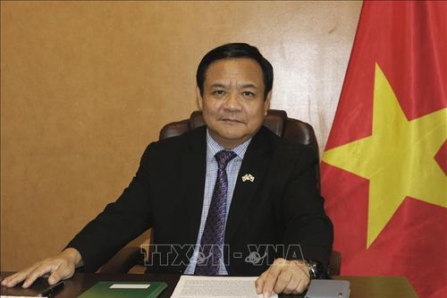 Cột mốc quan trọng hướng tới tầm cao mới trong quan hệ Việt Nam - Brazil