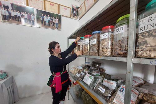 Bảo tồn, phát triển nghề thuốc Nam của người Dao dưới chân núi Ba Vì
