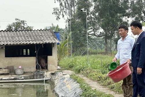 Anh nông dân kiếm hàng trăm triệu đồng nhờ nuôi loại cá 'sống ở trên cạn'