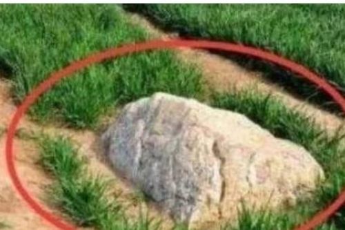 Ngọn núi nhỏ nhất thế giới, chỉ 0,6 mét nhưng không ai dám leo lên! Tại sao thế này?
