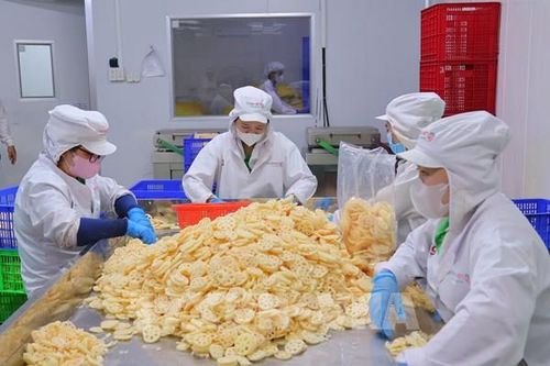 Dồn lực điều tra doanh nghiệp năm 2024
