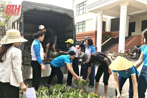 Đẹp phố, đẹp làng từ bàn tay phụ nữ
