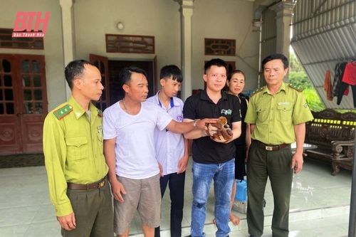 Giao nộp cá thể cu li cho Trung tâm Cứu hộ, bảo tồn và phát triển sinh vật Vườn Quốc gia Cúc Phương