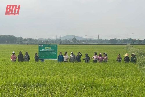 Hội thảo đầu bờ giống lúa J02 tại xã Vĩnh Tiến (Vĩnh Lộc)