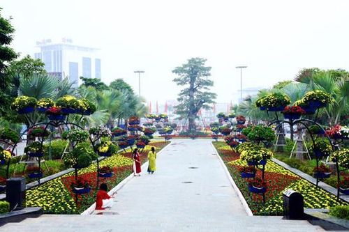 Hải Phòng chuyển mục đích hơn 26 ha đất trồng lúa để xây dựng 13 công viên