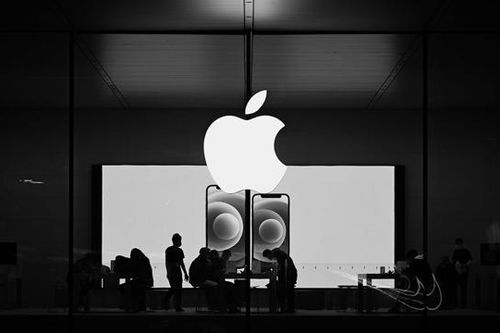 Apple vẫn đặt cược vào Trung Quốc bất chấp bối cảnh chuỗi cung ứng bất ổn