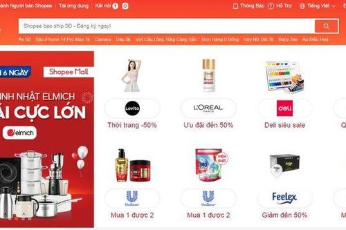 Mua sắm online ngày càng phát triển