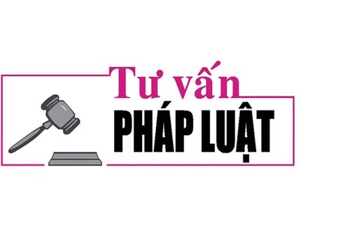 Luật sư Bùi Thanh Vũ tư vấn pháp luật về việc không được xây nhà trên đất rẫy