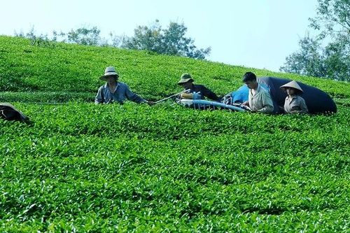 Liên kết vùng và chuyển đổi số trong tiêu thụ nông sản